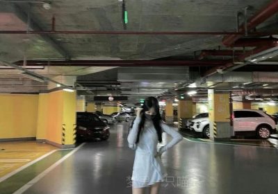 梦里一只喵灰丝 图片赏析，流连忘返的视觉盛宴。