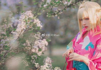 让你心动的起司块wii在哪看？赏析这个绝美的新作品