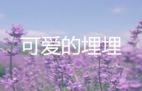 虎牙二次元声控助眠主播可爱的埋埋人气为什么这么高？
