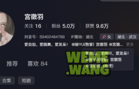 宫徵羽桔梗作品合集，关于光影叙事的深夜长谈