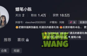 抖音辣妹蜡笔小陈视图，反差魅力下的百变人生
