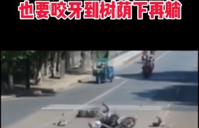 小姐姐40度天气拍摄COSER作品，因石头太烫屁股~