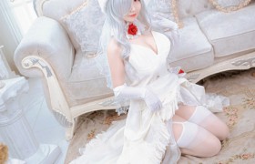 《少女前线》G36C婚纱花嫁COS图（CN：米九dakyo）
