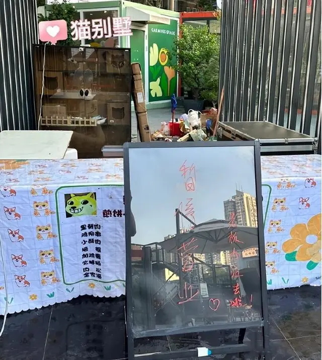狗头萝莉回应被举报，穿着有曲线也不行 两个多月辗转3个城市-6
