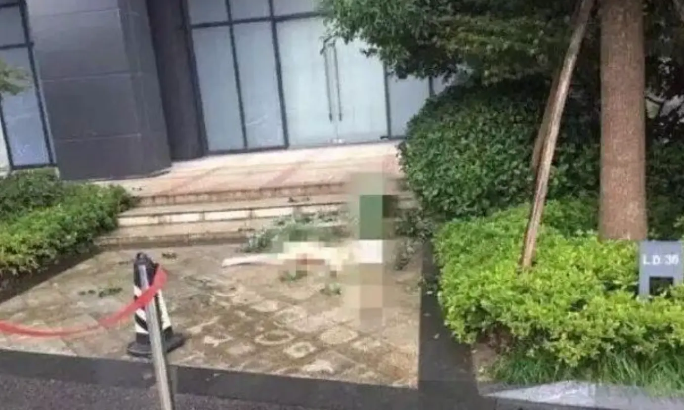 杨旭文和任娇发生了什么，任娇坠楼事件始末全过程-2