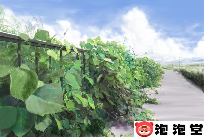 高质量公路多汁多肉的糙汉烈途文讲述了什么内容？甜腻又上头-4