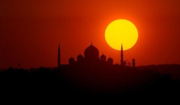 亚马逊鲶鱼绝美出圈！白纱圣洁×金饰魅惑的视觉盛宴-1