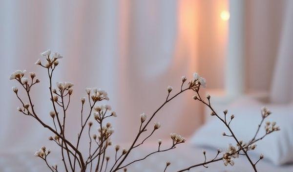 鹿八岁资料大揭秘！纤细身姿玩转艺术感cos，这组神图绝了-2