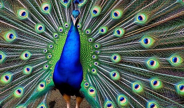 埋导演惊艳COS圈的8部神作片单，每一帧都值得复刻！-1