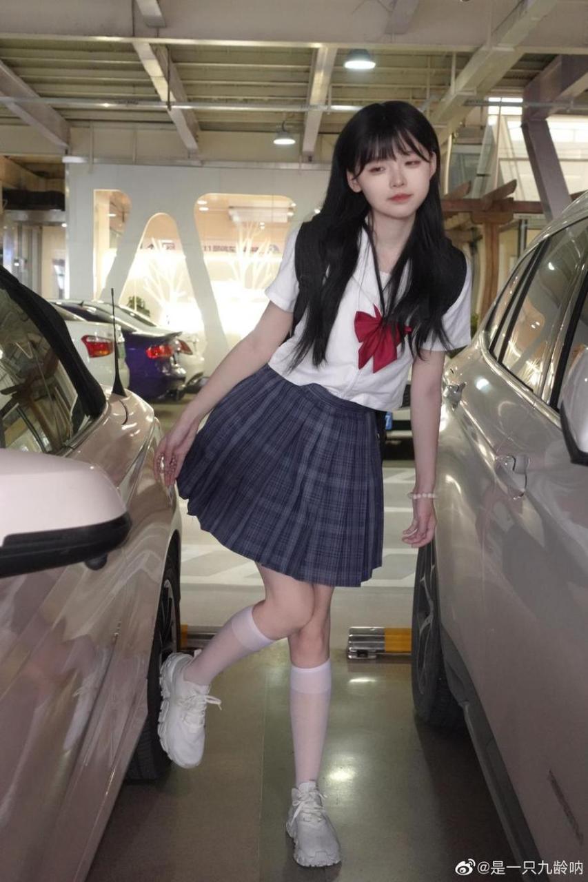 是一只九龄身高多少,美图分享,欢迎品鉴 是一只九龄身高多少,美图分享,欢迎品鉴