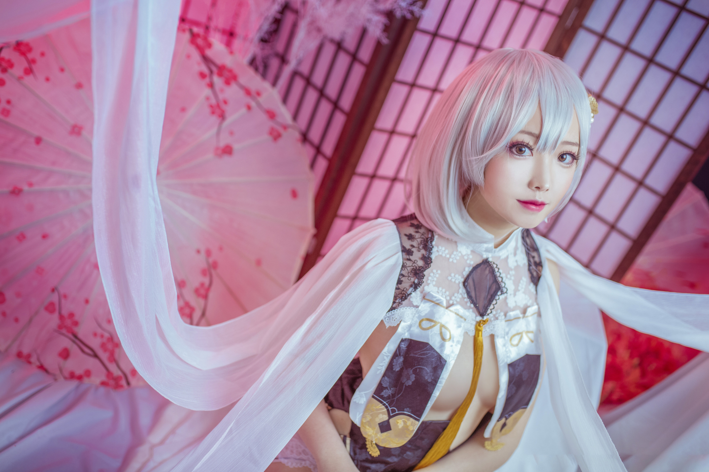 天狼星旗袍正片COS (CN：想不到名字的阿八)-图集侠