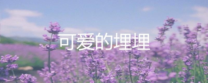 虎牙二次元声控助眠主播可爱的埋埋人气为什么这么高？-N5次元